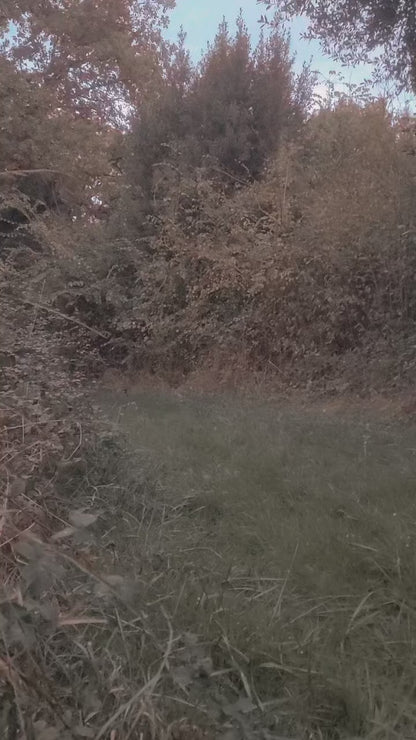 Patrón de costura para poncho con capucha de fantasma, disfraz de drag queen para Halloween